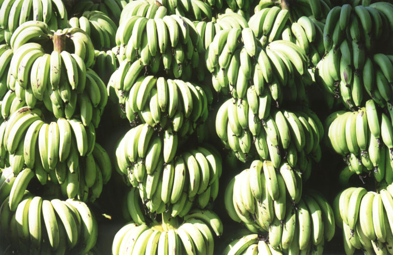 让我们一起歌唱,亲爱的心夜MM生日快乐_第1页