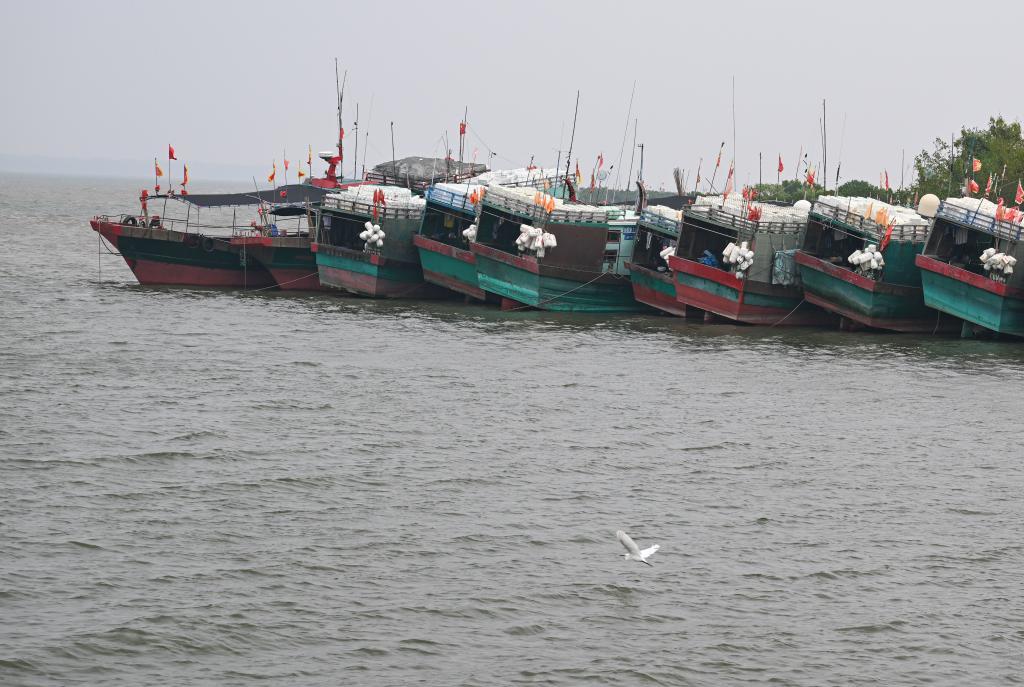 海南儋州：渔船靠港避“奥鹿”